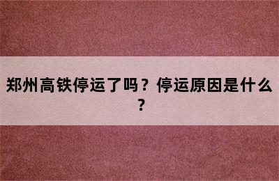 郑州高铁停运了吗？停运原因是什么？