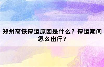 郑州高铁停运原因是什么？停运期间怎么出行？