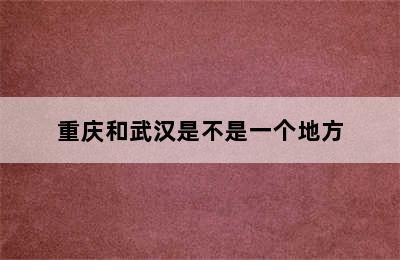 重庆和武汉是不是一个地方