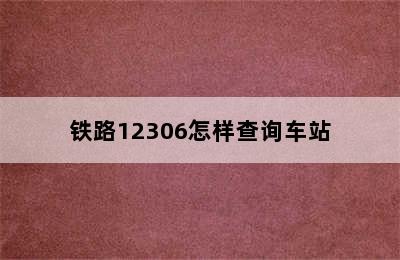铁路12306怎样查询车站