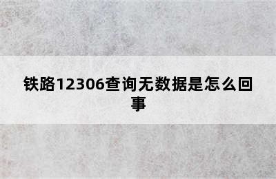 铁路12306查询无数据是怎么回事