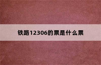 铁路12306的票是什么票