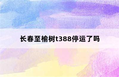 长春至榆树t388停运了吗