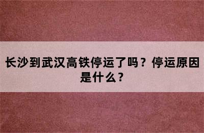 长沙到武汉高铁停运了吗？停运原因是什么？