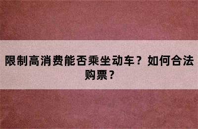 限制高消费能否乘坐动车？如何合法购票？