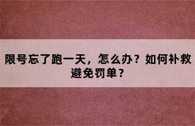 限号忘了跑一天，怎么办？如何补救避免罚单？