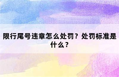限行尾号违章怎么处罚？处罚标准是什么？