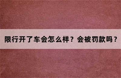 限行开了车会怎么样？会被罚款吗？