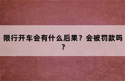 限行开车会有什么后果？会被罚款吗？