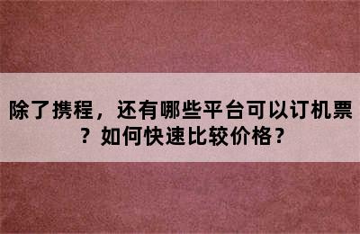除了携程，还有哪些平台可以订机票？如何快速比较价格？