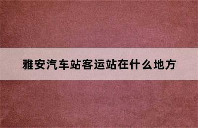 雅安汽车站客运站在什么地方