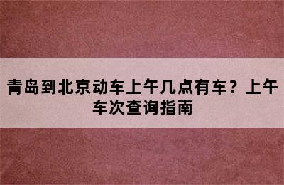 青岛到北京动车上午几点有车？上午车次查询指南