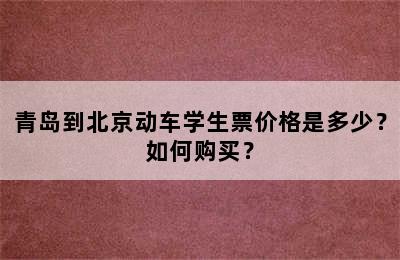 青岛到北京动车学生票价格是多少？如何购买？