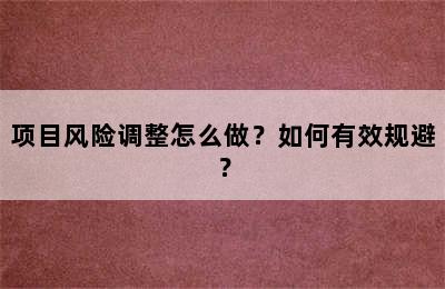 项目风险调整怎么做？如何有效规避？