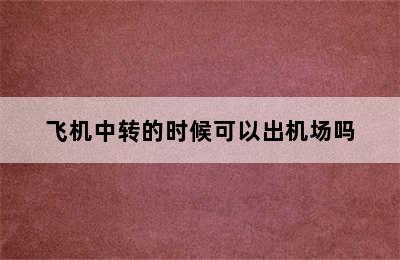 飞机中转的时候可以出机场吗