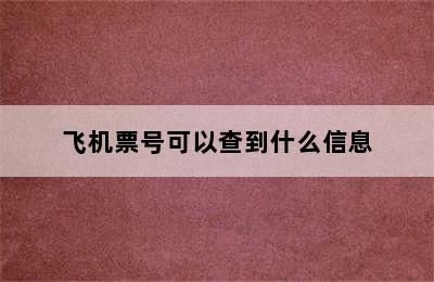 飞机票号可以查到什么信息