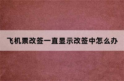 飞机票改签一直显示改签中怎么办