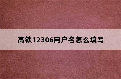 高铁12306用户名怎么填写