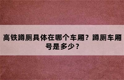 高铁蹲厕具体在哪个车厢？蹲厕车厢号是多少？
