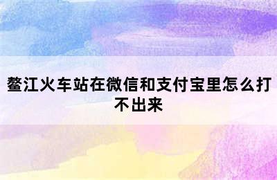 鳌江火车站在微信和支付宝里怎么打不出来