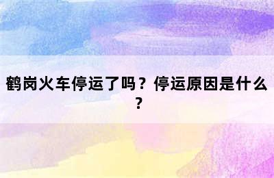 鹤岗火车停运了吗？停运原因是什么？