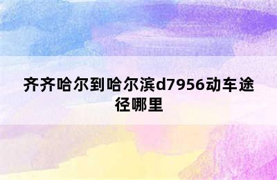 齐齐哈尔到哈尔滨d7956动车途径哪里